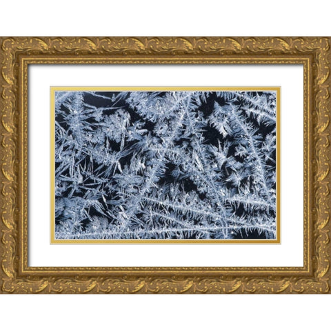 ME, HarpswellIce patterns on a winter window Gold Ornate Wood Framed Art Print with Double Matting by Clemons, Kathleen