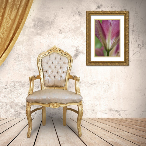 Maine, Harpswell Pink lily covered in dew Gold Ornate Wood Framed Art Print with Double Matting by Clemons, Kathleen