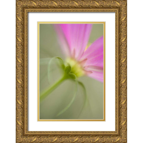 USA, Maine, Harpswell Gold Ornate Wood Framed Art Print with Double Matting by Clemons, Kathleen