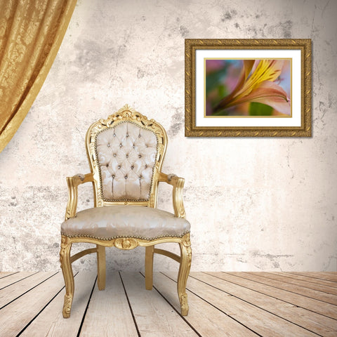 Maine, Harpswell Pink and yellow lily Gold Ornate Wood Framed Art Print with Double Matting by Clemons, Kathleen