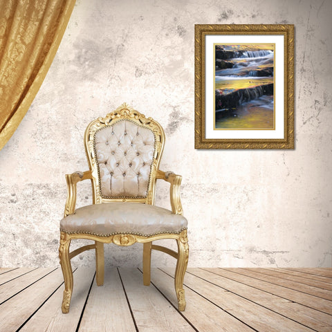Maine, Acadia NP Autumn reflections in stream Gold Ornate Wood Framed Art Print with Double Matting by Rotenberg, Nancy