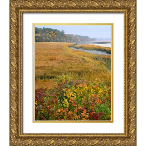 ME, Kennebunkport Tidal marsh on the Mousam Gold Ornate Wood Framed Art Print with Double Matting by Terrill, Steve