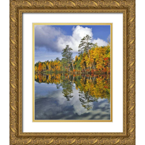 USA, Maine Autumn scenic of Upper Togue Pond Gold Ornate Wood Framed Art Print with Double Matting by Terrill, Steve