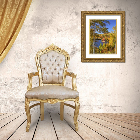 USA, Maine, Bingham Wyman Lake and autumn colors Gold Ornate Wood Framed Art Print with Double Matting by Terrill, Steve