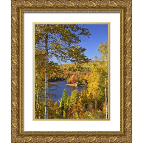 USA, Maine, Bingham Wyman Lake and autumn colors Gold Ornate Wood Framed Art Print with Double Matting by Terrill, Steve