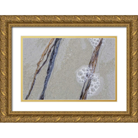 USA, Maine, Pine Point Sea weed between waves Gold Ornate Wood Framed Art Print with Double Matting by Delisle, Gilles
