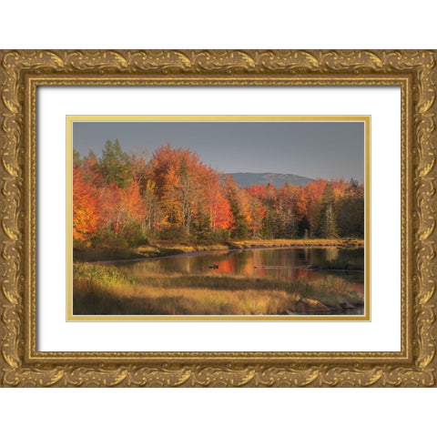 USA-Maine-Acadia National Park Gold Ornate Wood Framed Art Print with Double Matting by Jaynes Gallery