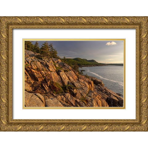 Otter Cliffs at sunrise in Acadia National Park-Maine-USA Gold Ornate Wood Framed Art Print with Double Matting by Haney, Chuck