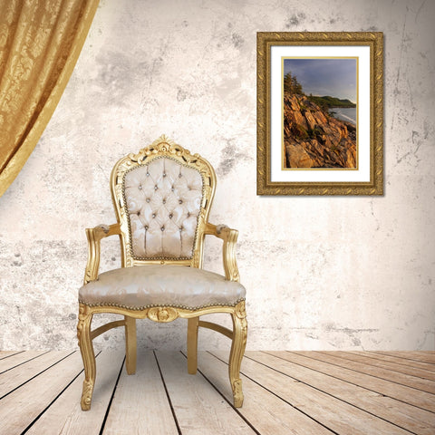 Otter Cliffs at sunrise in Acadia National Park-Maine-USA Gold Ornate Wood Framed Art Print with Double Matting by Haney, Chuck