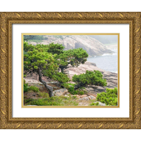 Maine Otter Cliffs and the Atlantic Ocean in Acadia National Park Gold Ornate Wood Framed Art Print with Double Matting by Eggers, Julie