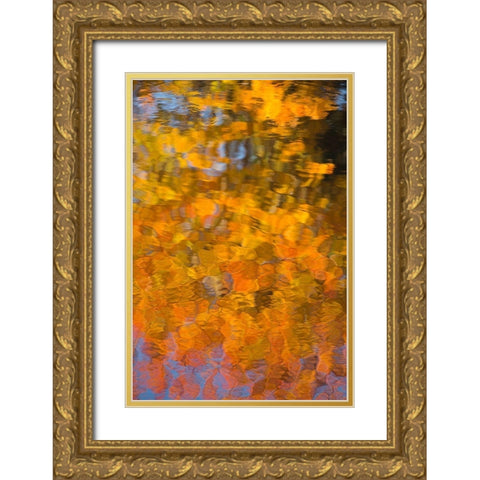 Maine Abstract reflections in a pond in Acadia National Park Gold Ornate Wood Framed Art Print with Double Matting by Wells, Joanne
