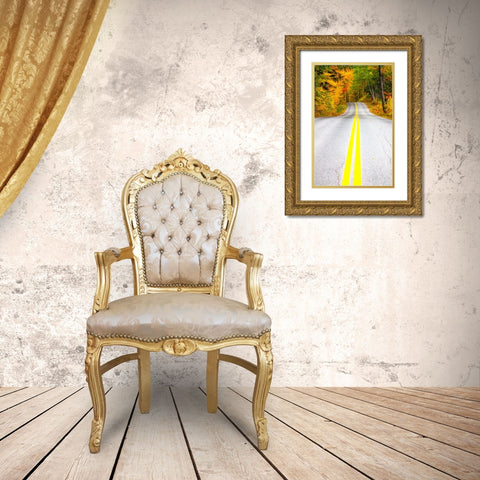 USA-Maine-Highway 113 lined by Maple and Birch trees in full Autumn color Gold Ornate Wood Framed Art Print with Double Matting by Gulin, Sylvia