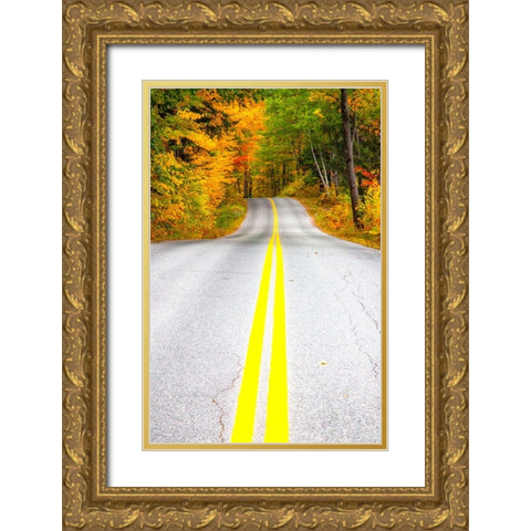 USA-Maine-Highway 113 lined by Maple and Birch trees in full Autumn color Gold Ornate Wood Framed Art Print with Double Matting by Gulin, Sylvia