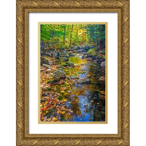 USA-New England-Maine Autumn and stream just off of Wild River Road Gold Ornate Wood Framed Art Print with Double Matting by Gulin, Sylvia
