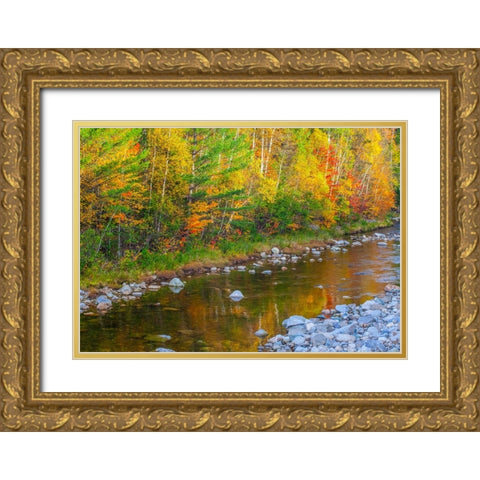 USA-New England-Maine-Wild River-reflections of Autumn colors in small river Gold Ornate Wood Framed Art Print with Double Matting by Gulin, Sylvia