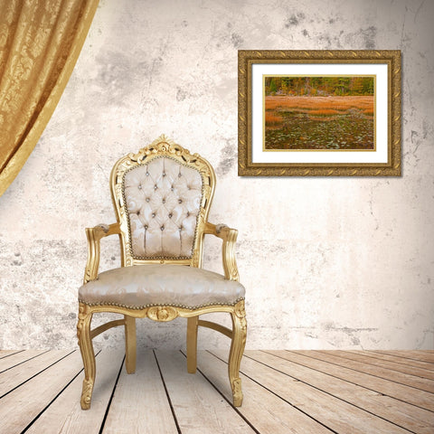 USA-New England-Maine-Mt-Desert Island-Acadia National park with lily pads in small pond with golde Gold Ornate Wood Framed Art Print with Double Matting by Gulin, Sylvia