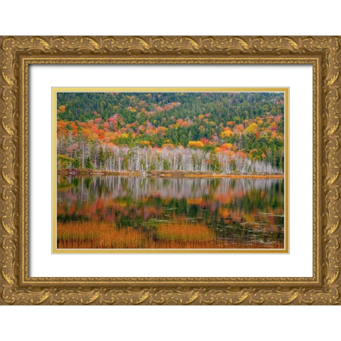 USA-New England-Maine-Mt-Desert Island-Acadia National Park with small lake with hillsides in Autum Gold Ornate Wood Framed Art Print with Double Matting by Gulin, Sylvia