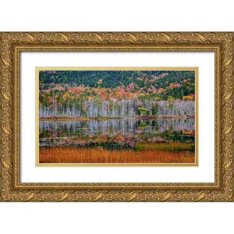 USA-New England-Maine-Mt-Desert Island-Acadia National Park with small lake with hillsides in Autum Gold Ornate Wood Framed Art Print with Double Matting by Gulin, Sylvia
