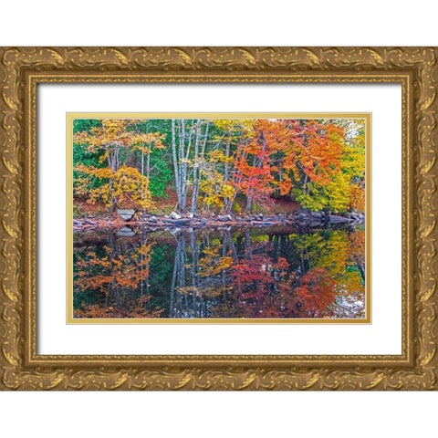 USA-New England-Maine-Lake with Fall colors reflected in calm water Gold Ornate Wood Framed Art Print with Double Matting by Gulin, Sylvia