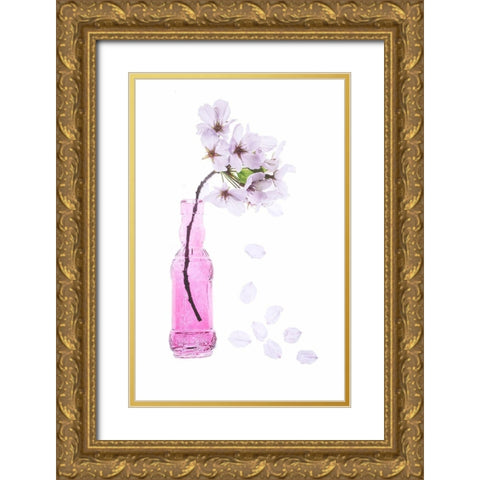 Maryland-Bethesda Pink vase with cherry blossoms Gold Ornate Wood Framed Art Print with Double Matting by Looney, Hollice