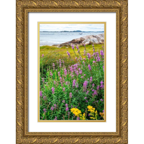 Ipswich Bay-Annisquam-Massachusetts-USA Gold Ornate Wood Framed Art Print with Double Matting by Engelbrecht, Lisa S.