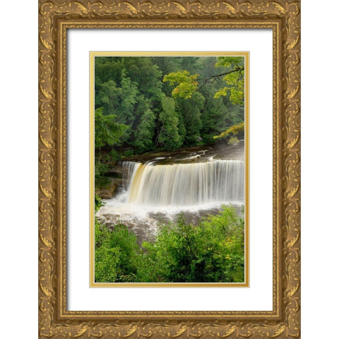 Upper Tahquamenon Falls-Tahquamenon Falls State Park-Upper Peninsula-Michigan Gold Ornate Wood Framed Art Print with Double Matting by Majchrowicz, Alan
