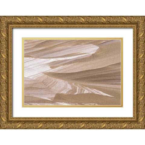MI, Sand dune dusted with winter snowfall Gold Ornate Wood Framed Art Print with Double Matting by Carlson, Mark