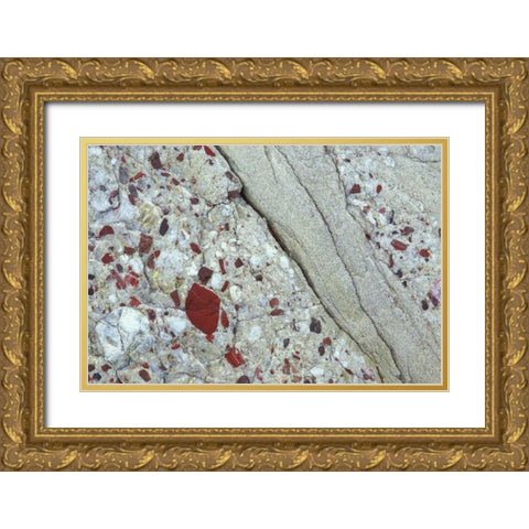 MI, Drummond Island, Close up of patterns in rock Gold Ornate Wood Framed Art Print with Double Matting by Carlson, Mark
