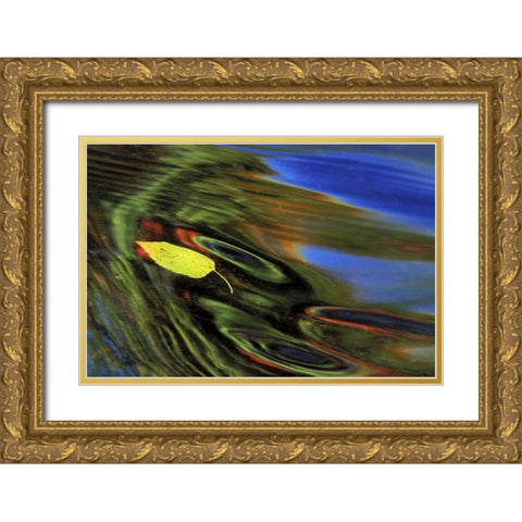 MI, Birch leaf in river with autumn reflections Gold Ornate Wood Framed Art Print with Double Matting by Carlson, Mark