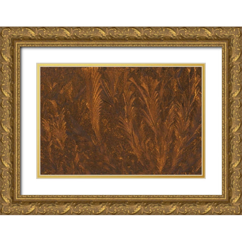 Michigan, Frost patterns on window at sunrise Gold Ornate Wood Framed Art Print with Double Matting by Carlson, Mark