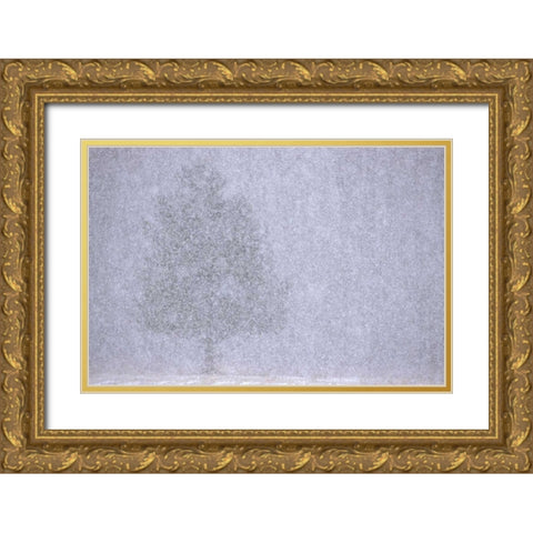 MI, White pine in a heavy snow squall Gold Ornate Wood Framed Art Print with Double Matting by Carlson, Mark
