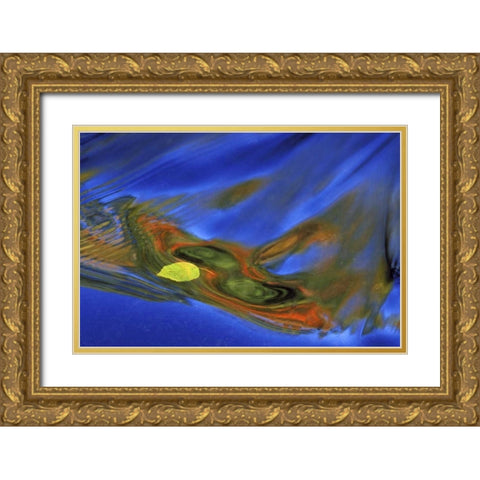 MI, birch leaf in river current in autumn Gold Ornate Wood Framed Art Print with Double Matting by Carlson, Mark