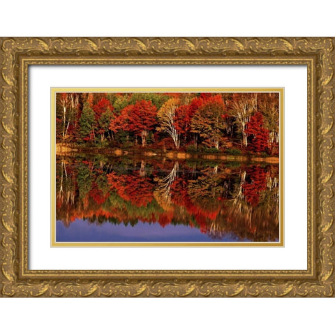 United States, MI, Fall reflects in Thornton Lake Gold Ornate Wood Framed Art Print with Double Matting by Welling, Dave
