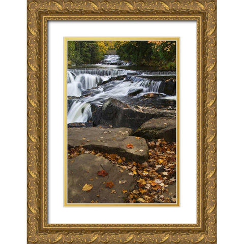 Michigan Bond Falls and fall foliage Gold Ornate Wood Framed Art Print with Double Matting by Rotenberg, Nancy