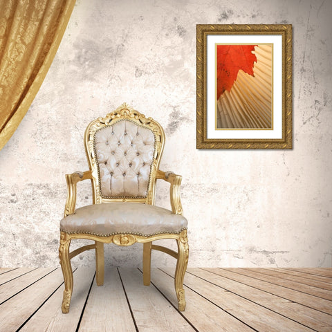 Michigan Red maple leaf and mushroom gill Gold Ornate Wood Framed Art Print with Double Matting by Rotenberg, Nancy