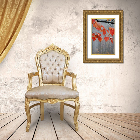 MI, Red maple leaves hang in a foggy forest Gold Ornate Wood Framed Art Print with Double Matting by Rotenberg, Nancy