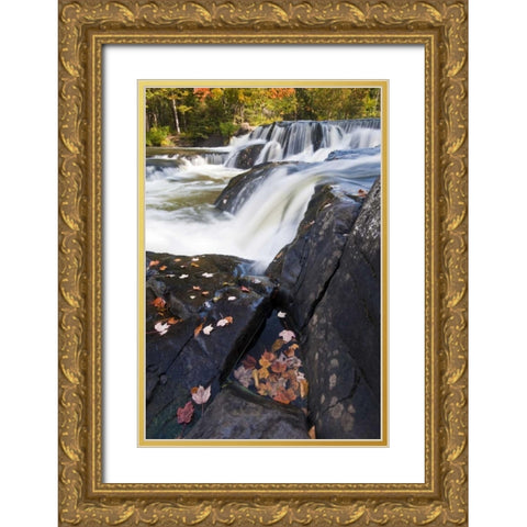 Michigan, Upper Peninsula View of Bond Falls Gold Ornate Wood Framed Art Print with Double Matting by Rotenberg, Nancy