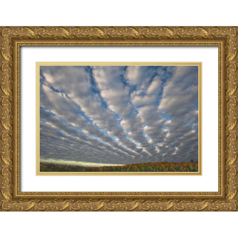 Michigan Clouds over Petes Lake in autumn Gold Ornate Wood Framed Art Print with Double Matting by Rotenberg, Nancy