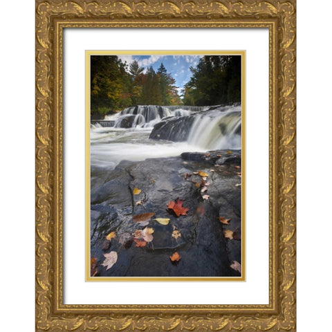 Michigan, Upper Peninsula View of Bond Falls Gold Ornate Wood Framed Art Print with Double Matting by Rotenberg, Nancy