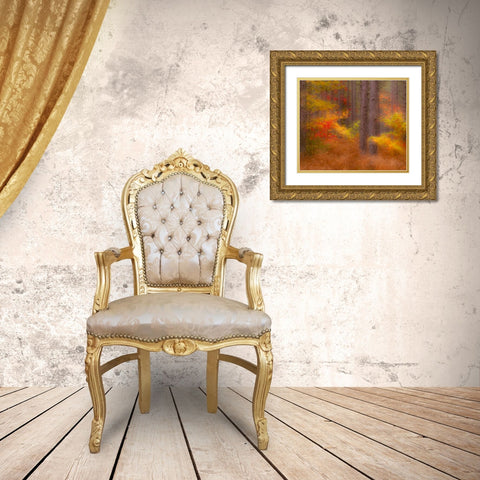 Michigan Soft focus of a forest in autumn color Gold Ornate Wood Framed Art Print with Double Matting by Rotenberg, Nancy