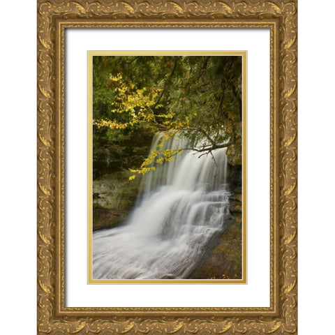MI, Hiawatha NF Laughing Whitefish Falls in fall Gold Ornate Wood Framed Art Print with Double Matting by Grall, Don