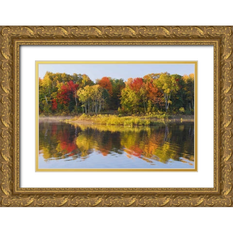 MI, Autumn in Bond Falls Recreation Area Gold Ornate Wood Framed Art Print with Double Matting by Bush, Marie