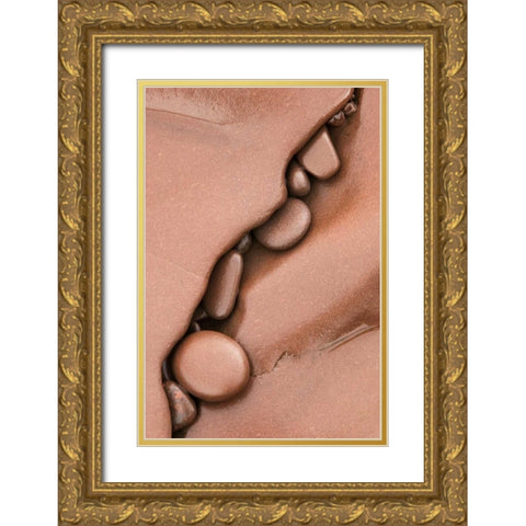 Michigan Pebbles in shore rock crevice Gold Ornate Wood Framed Art Print with Double Matting by Bush, Marie
