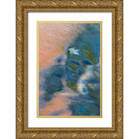 Michigan, Upper Peninsula Bond Falls reflections Gold Ornate Wood Framed Art Print with Double Matting by Rotenberg, Nancy