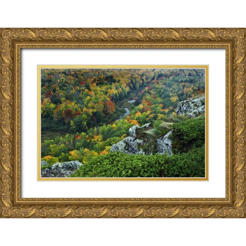 USA, Michigan River in autumn landscape Gold Ornate Wood Framed Art Print with Double Matting by Rotenberg, Nancy
