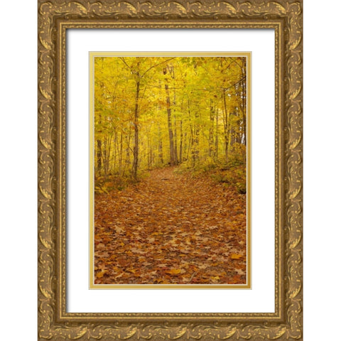 Michigan Fallen maple leaves on trail Gold Ornate Wood Framed Art Print with Double Matting by Grall, Don