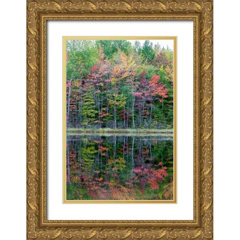 Thornton Lake in fall color-Alger County-Michigan Gold Ornate Wood Framed Art Print with Double Matting by Day, Richard and Susan
