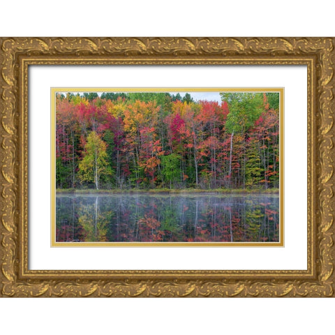 Thornton Lake in fall color-Alger County-Michigan Gold Ornate Wood Framed Art Print with Double Matting by Day, Richard and Susan