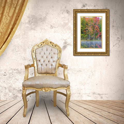 Thornton Lake in fall color-Alger County-Michigan Gold Ornate Wood Framed Art Print with Double Matting by Day, Richard and Susan