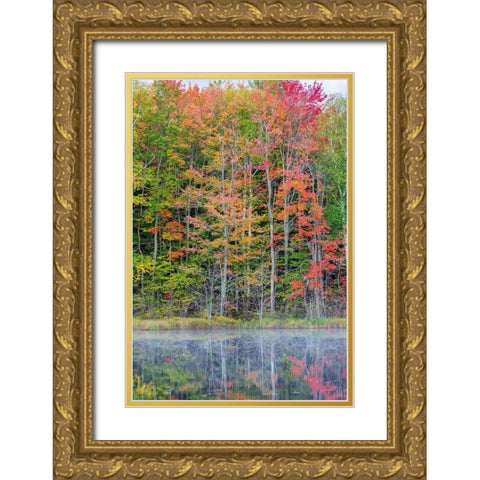 Thornton Lake in fall color-Alger County-Michigan Gold Ornate Wood Framed Art Print with Double Matting by Day, Richard and Susan